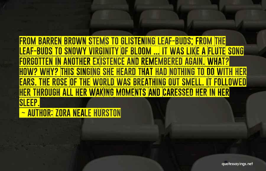 Brown Leaf Quotes By Zora Neale Hurston