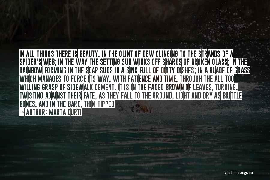 Brown Leaves Quotes By Marta Curti