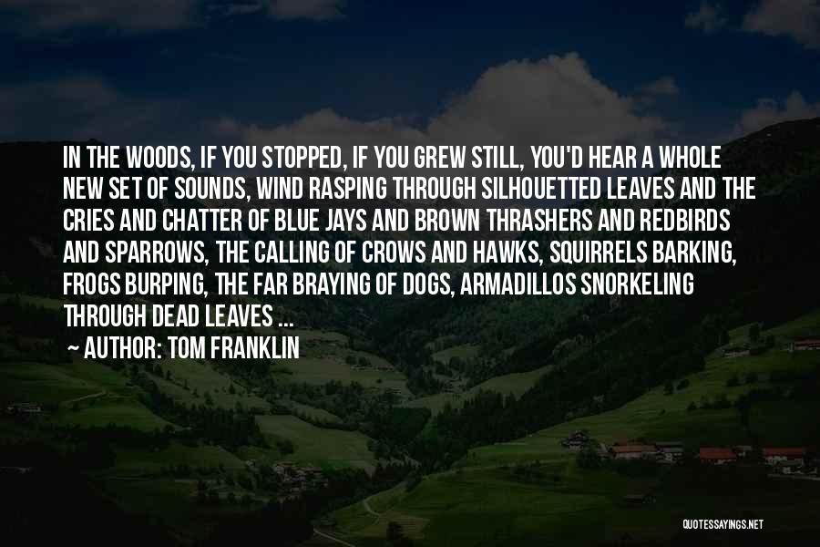 Brown Leaves Quotes By Tom Franklin