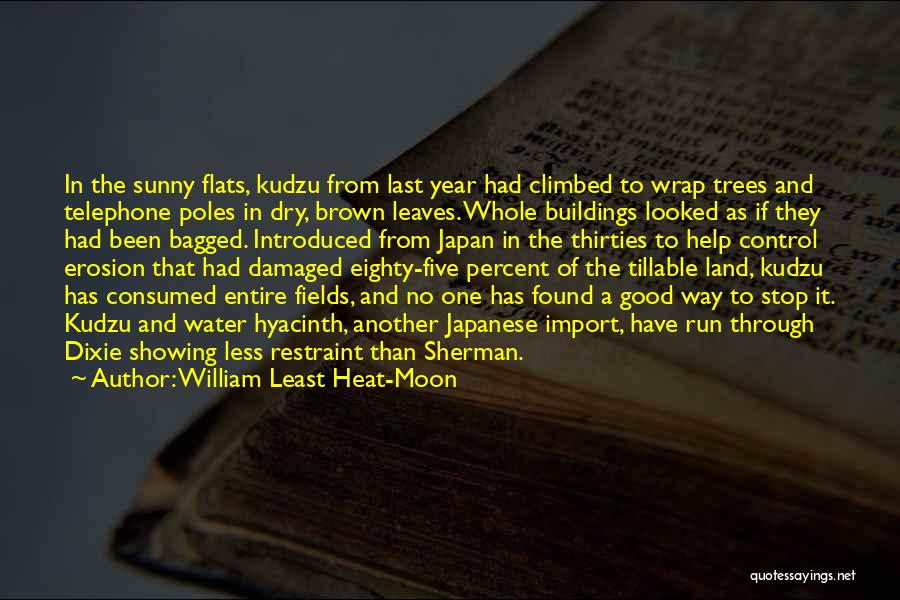 Brown Leaves Quotes By William Least Heat-Moon