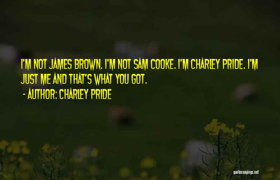 Brown Pride Quotes By Charley Pride