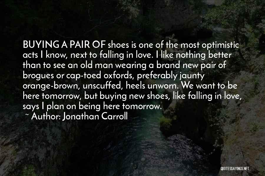 Brown Shoes Quotes By Jonathan Carroll