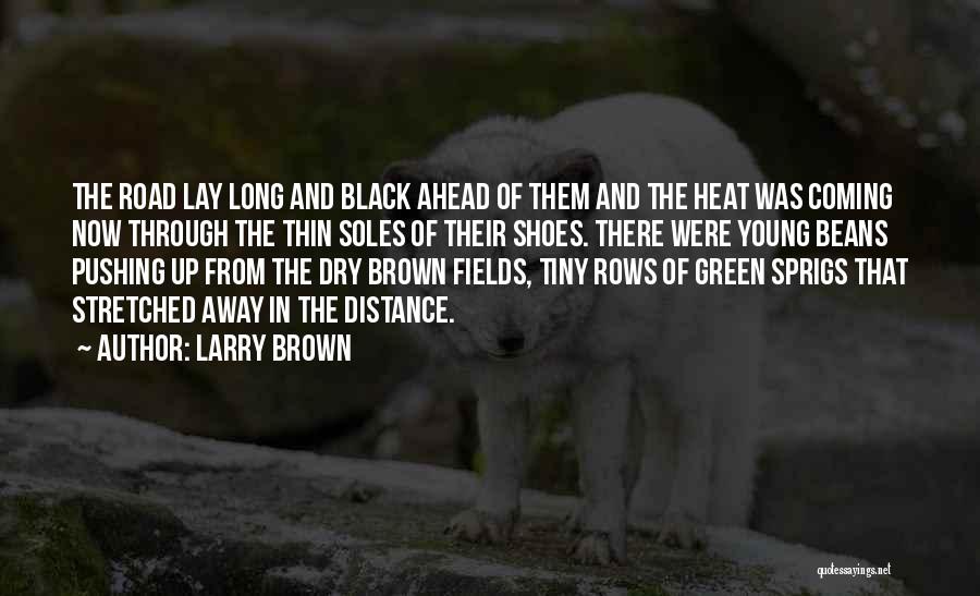 Brown Shoes Quotes By Larry Brown