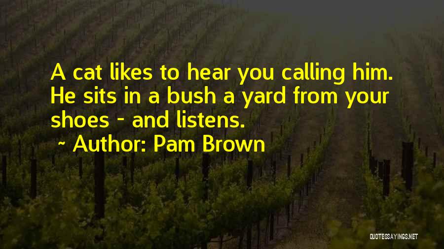 Brown Shoes Quotes By Pam Brown