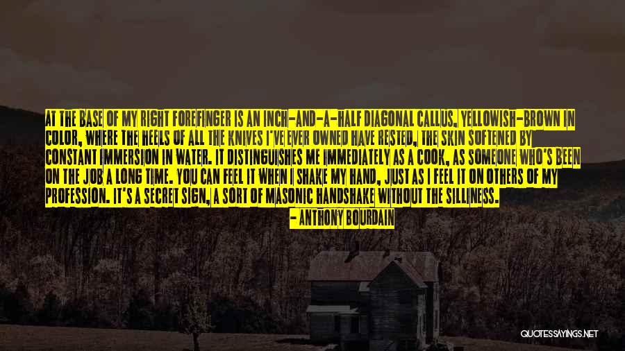 Brown Skin Quotes By Anthony Bourdain Brown Skin Quotes By Anthony Bourdain