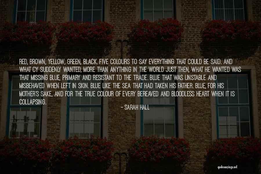 Brown Skin Quotes By Sarah Hall