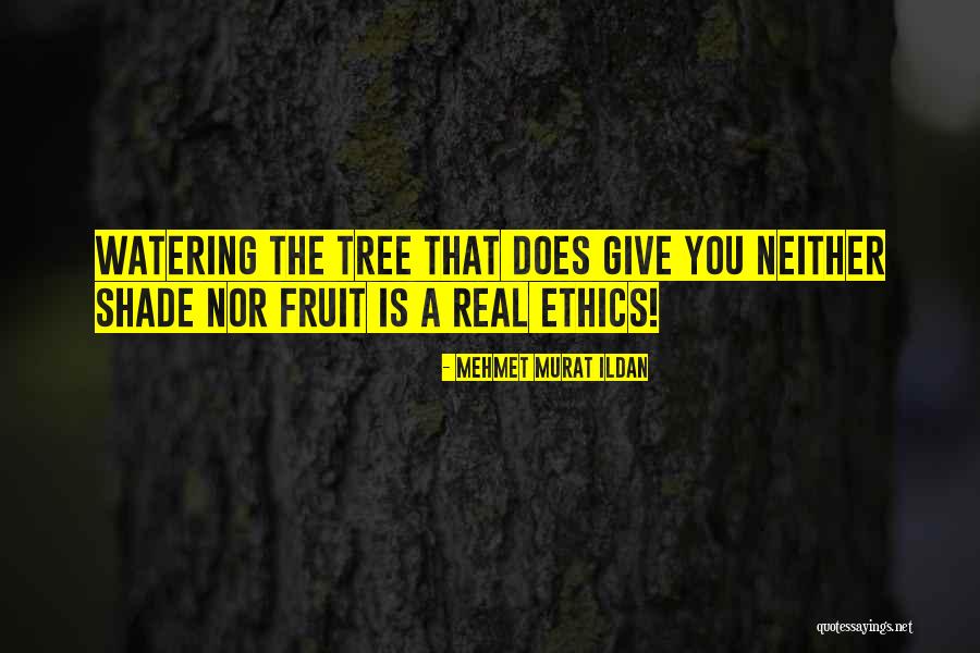 Brown V Board Of Education Justice Quotes By Mehmet Murat Ildan Brown V Board Of Education Justice Quotes By Mehmet Murat Ildan