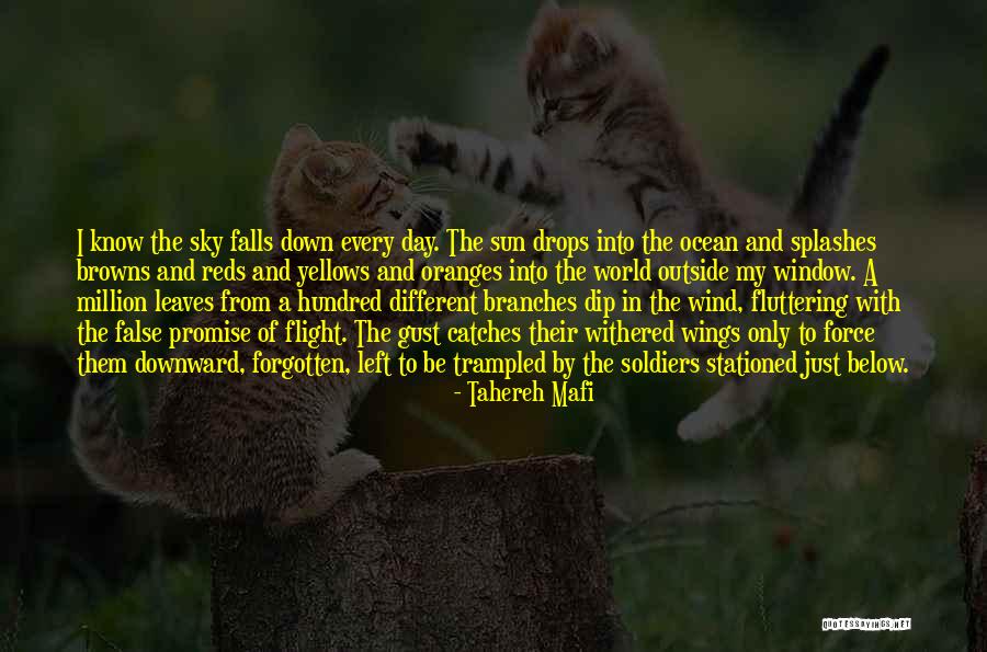 Browns Quotes By Tahereh Mafi Browns Quotes By Tahereh Mafi