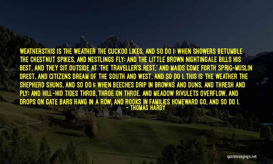 Browns Quotes By Thomas Hardy Browns Quotes By Thomas Hardy