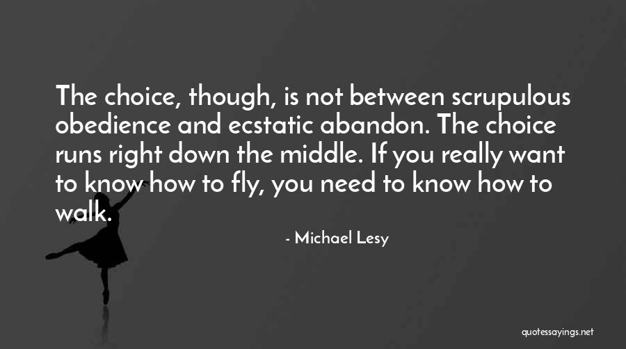 Brownstone Quotes By Michael Lesy Brownstone Quotes By Michael Lesy