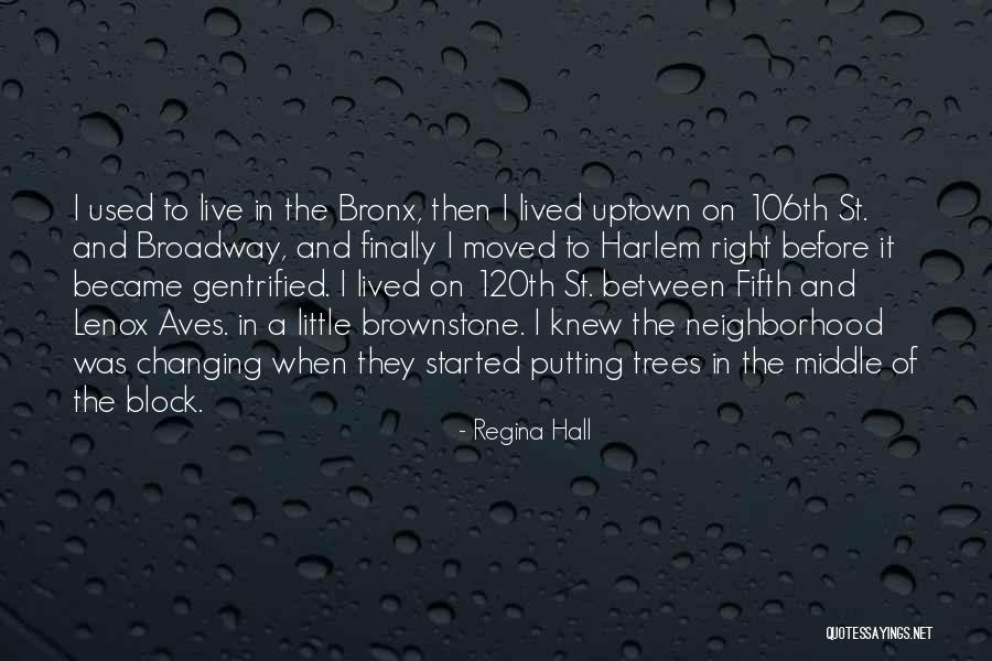 Brownstone Quotes By Regina Hall Brownstone Quotes By Regina Hall