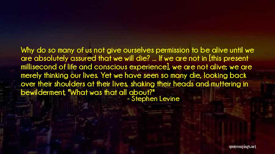 Brownyard Quotes By Stephen Levine Brownyard Quotes By Stephen Levine