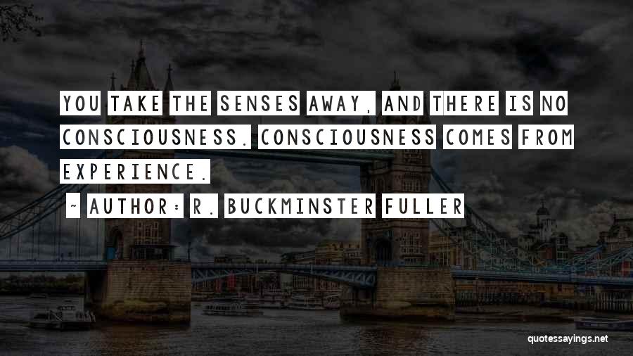 Brta Bangladesh Quotes By R. Buckminster Fuller