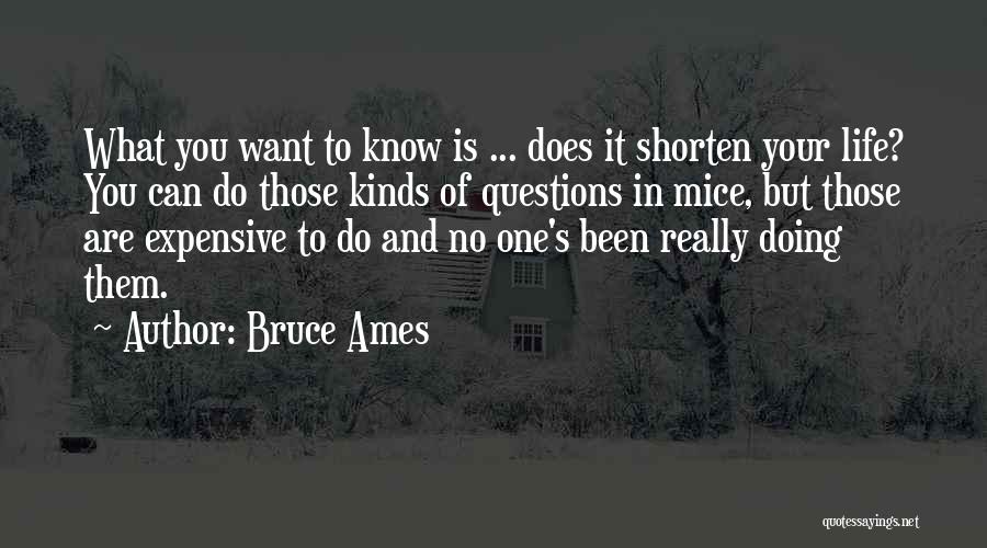 Bruce Ames Quotes 1922844