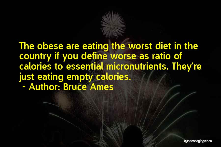 Bruce Ames Quotes 2154195