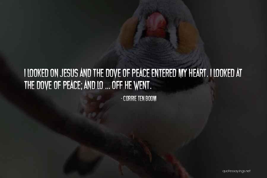 Bruce Cable Quotes By Corrie Ten Boom Bruce Cable Quotes By Corrie Ten Boom