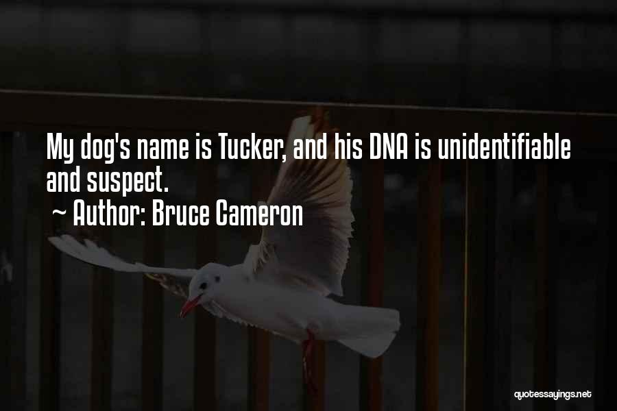 Bruce Cameron Quotes 100433