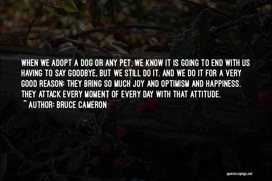 Bruce Cameron Quotes 729763