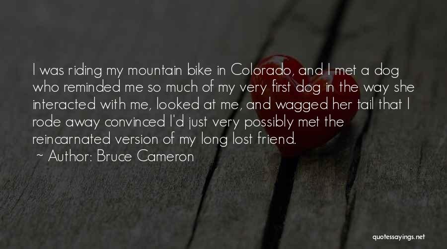 Bruce Cameron Quotes 834883