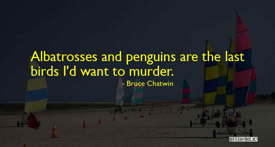 Bruce Chatwin Quotes 1286603