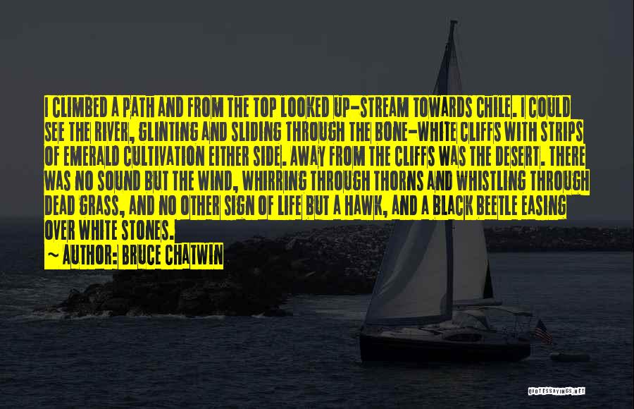 Bruce Chatwin Quotes 1920849