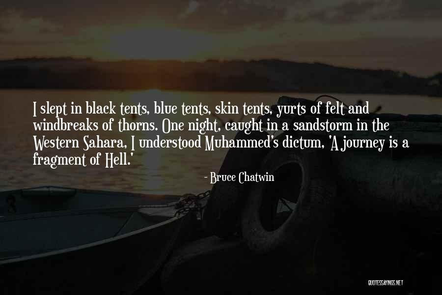 Bruce Chatwin Quotes 833044