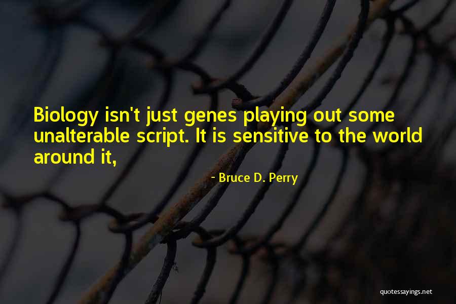 Bruce D. Perry Quotes 1477046