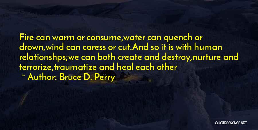 Bruce D. Perry Quotes 607812
