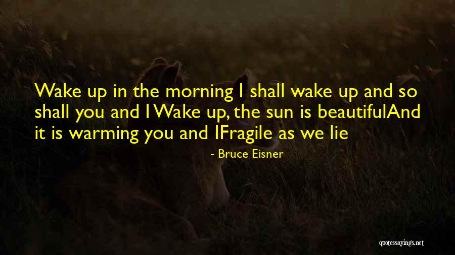 Bruce Eisner Quotes 1884824