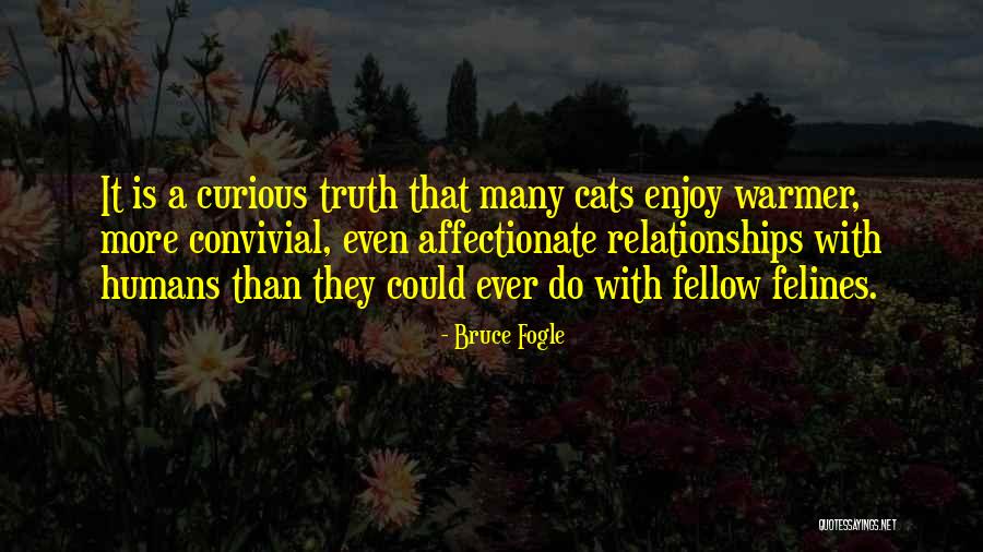 Bruce Fogle Quotes 2014359 Bruce Fogle Quotes 2014359