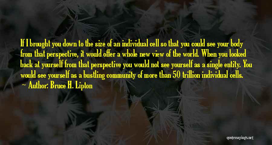 Bruce H. Lipton Quotes 108169