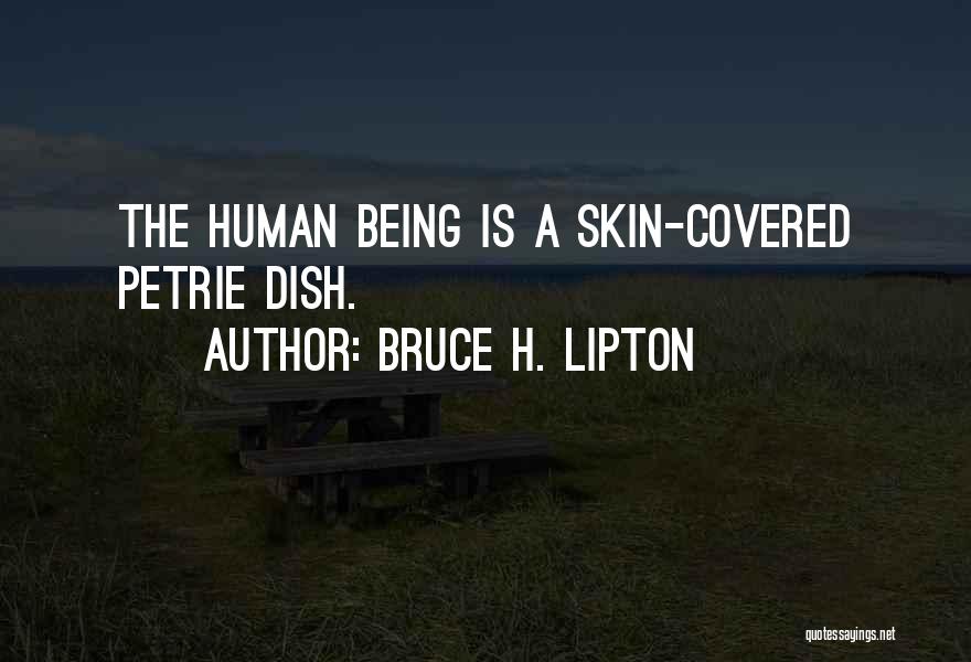 Bruce H. Lipton Quotes 161810
