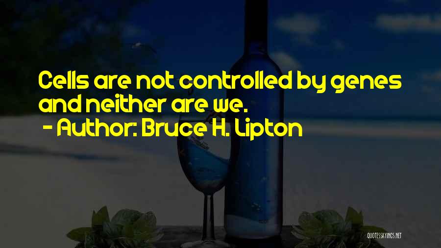 Bruce H. Lipton Quotes 1657629