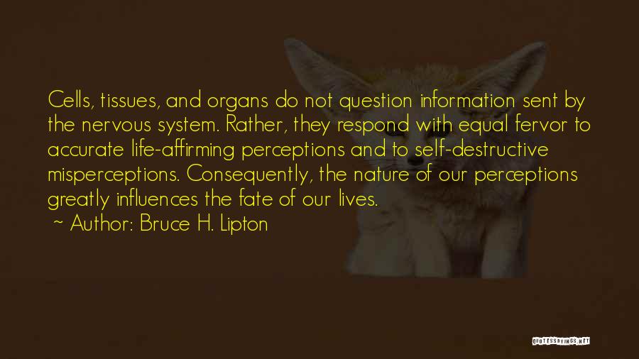 Bruce H. Lipton Quotes 1934463