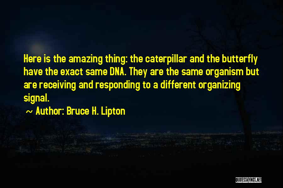 Bruce H. Lipton Quotes 2030413