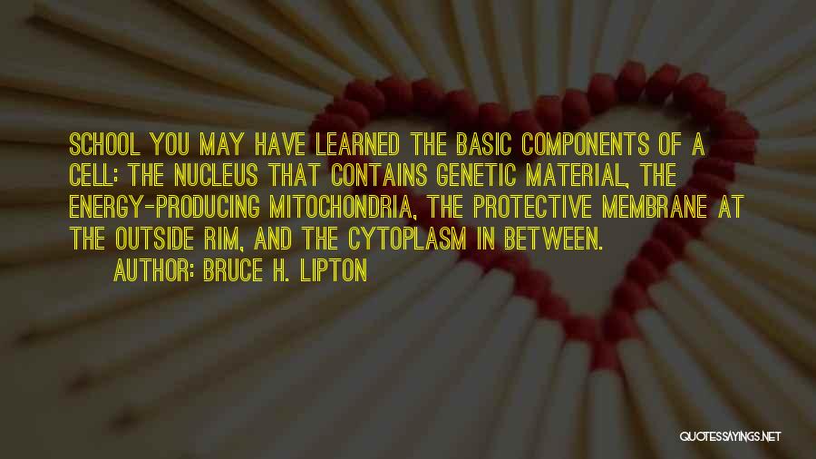 Bruce H. Lipton Quotes 2124259