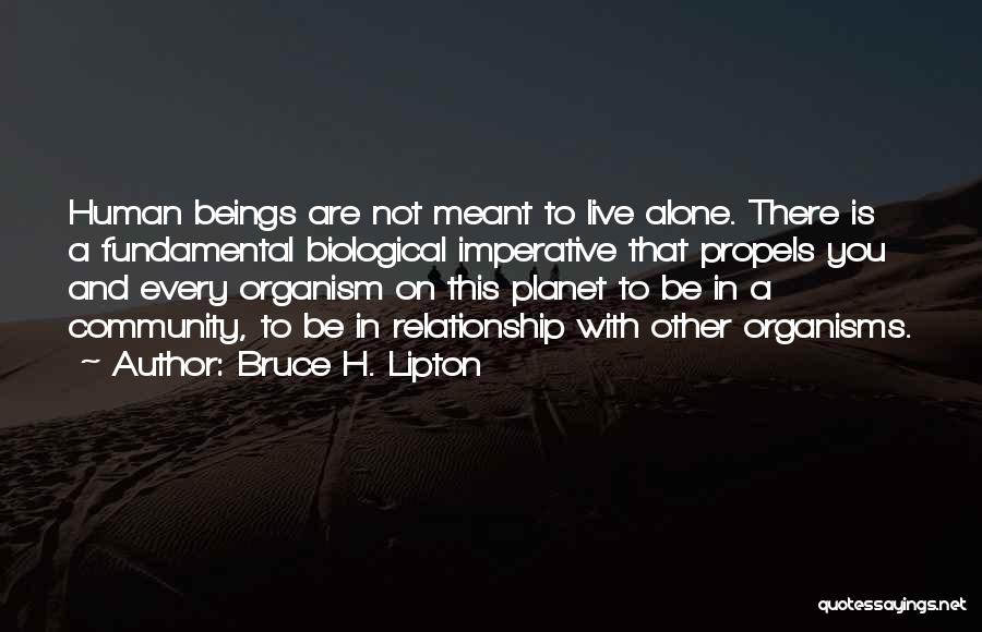 Bruce H. Lipton Quotes 2169210