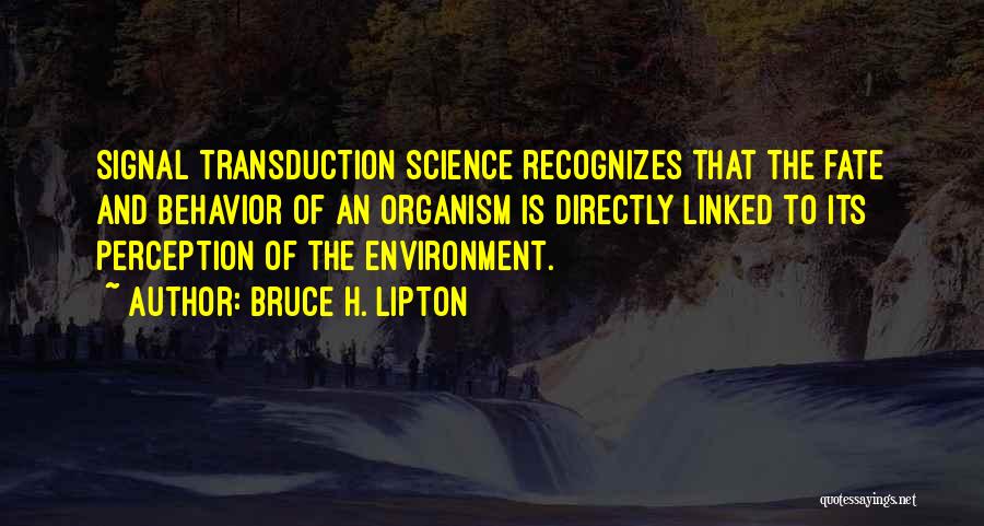 Bruce H. Lipton Quotes 239673