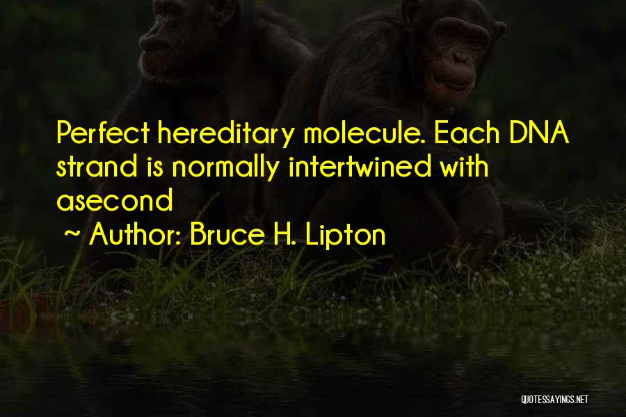 Bruce H. Lipton Quotes 573167
