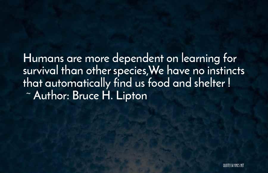 Bruce H. Lipton Quotes 903316