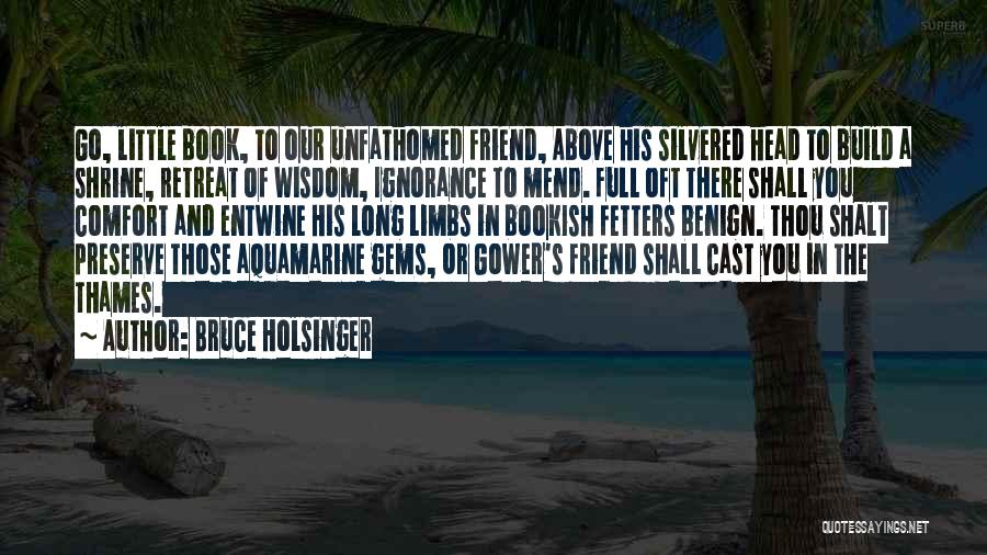 Bruce Holsinger Quotes 1067999