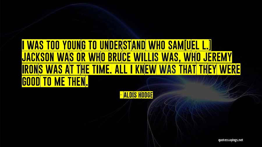 Bruce Irons Quotes By Aldis Hodge