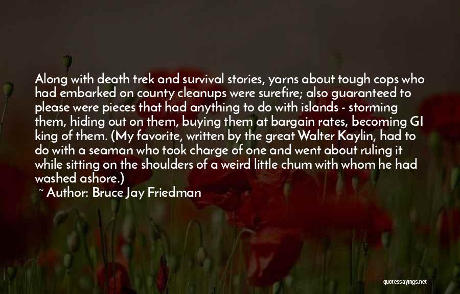 Bruce Jay Friedman Quotes 694204