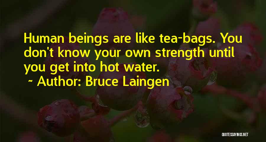 Bruce Laingen Quotes 1419575