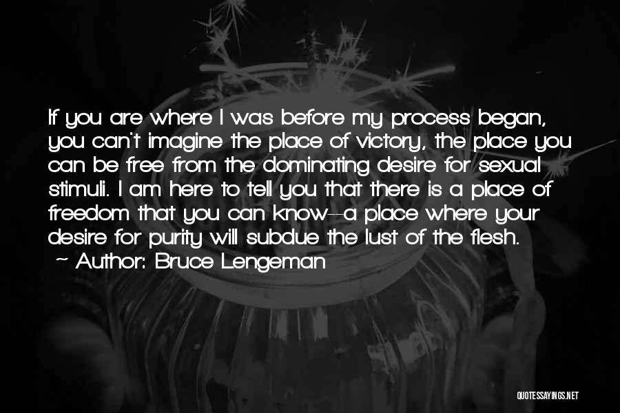 Bruce Lengeman Quotes 1588423