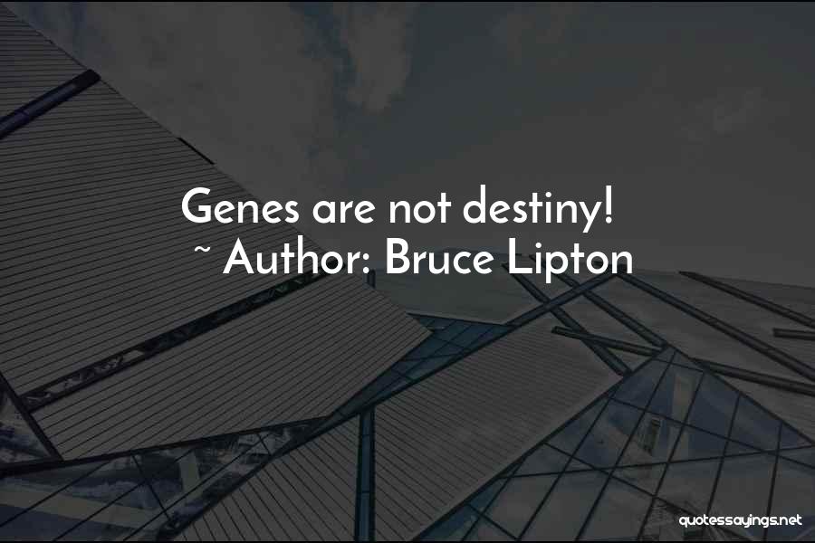 Bruce Lipton Quotes 1186230