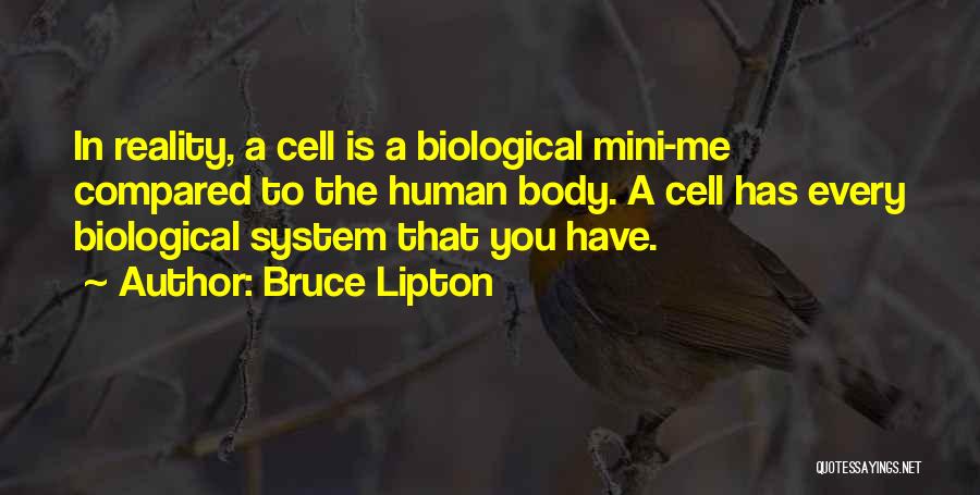 Bruce Lipton Quotes 1309337