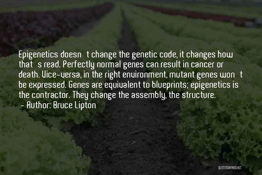 Bruce Lipton Quotes 1807234