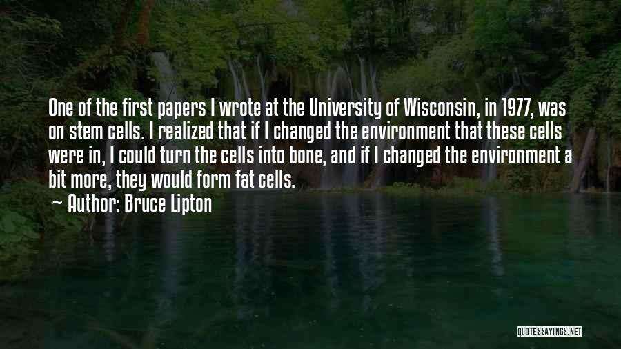 Bruce Lipton Quotes 1924890