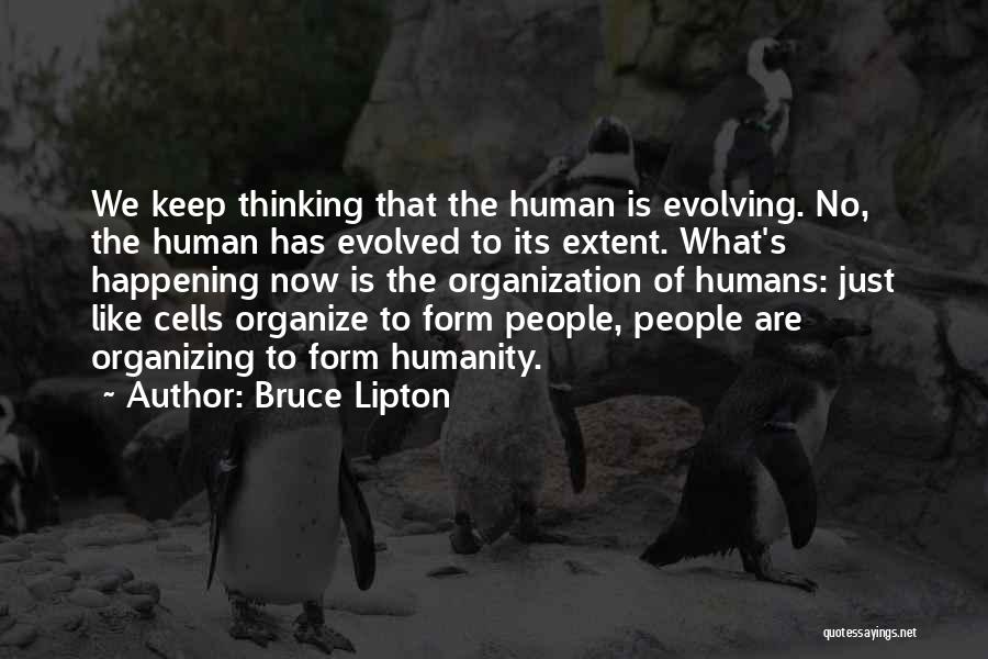Bruce Lipton Quotes 1994952